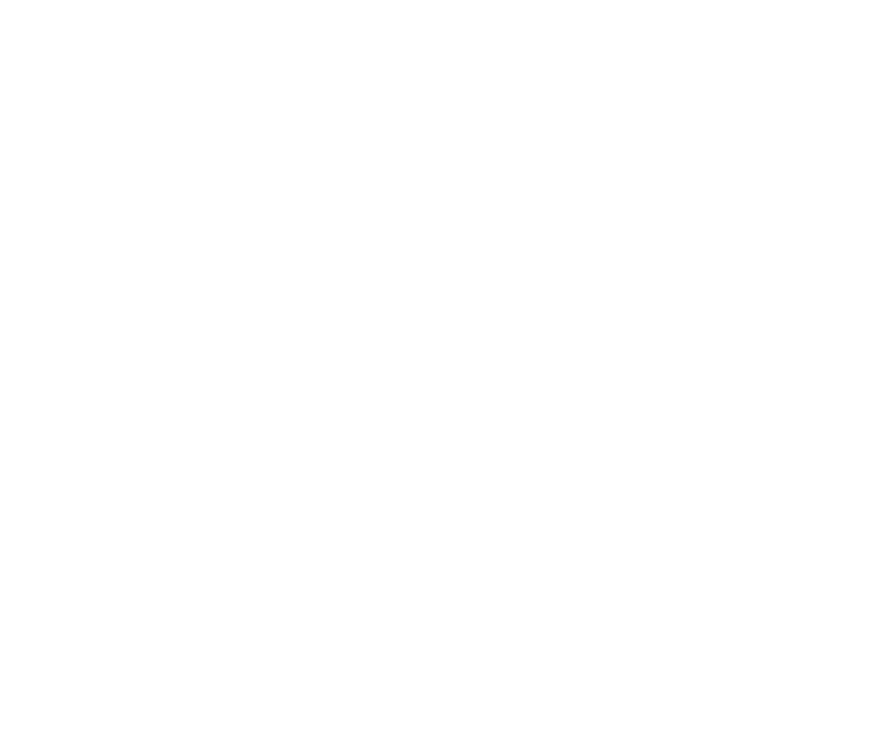 Sane Observer logo